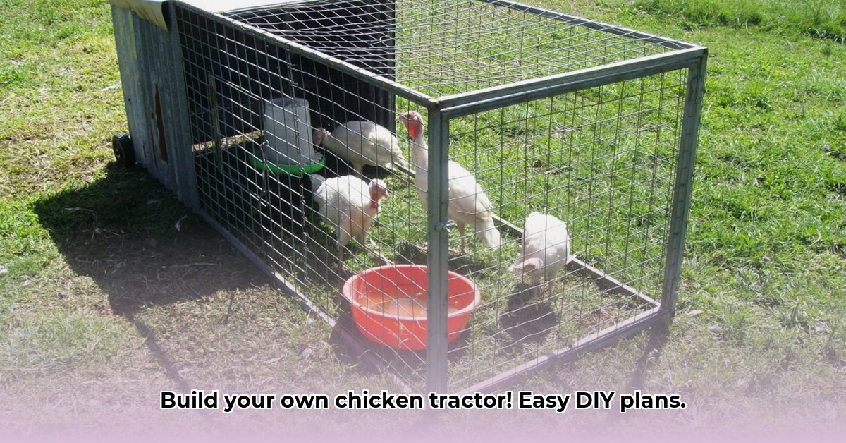 chicken-tractor-small